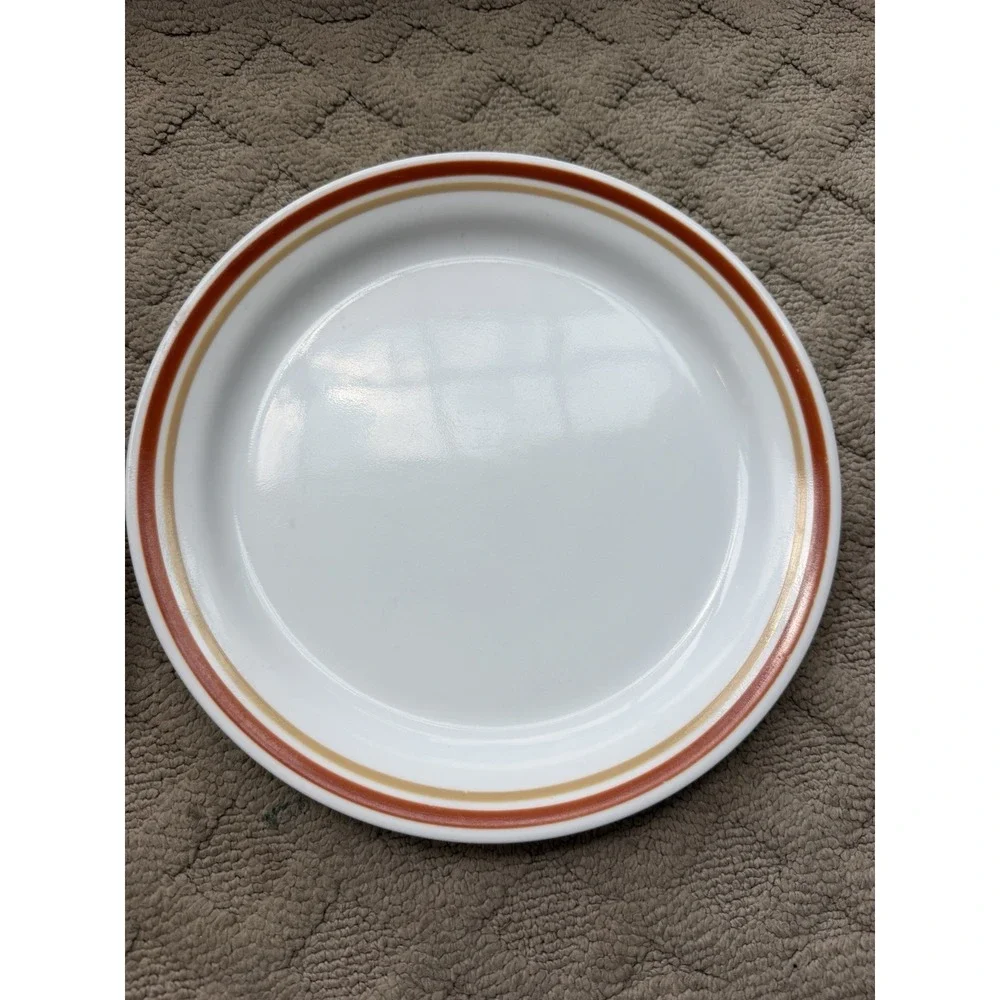 Vintage Corelle Dinner Plates Cinnamon Chestnut Lot of 2